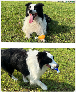 Multi-Style Luxus-Hunde kau spielzeug für aggressive Kau artikel aus strap azier fähigem TPR und Gummi für Kleintiere Gefüllte Hundes piel zeuge Luxus - Product Image 5