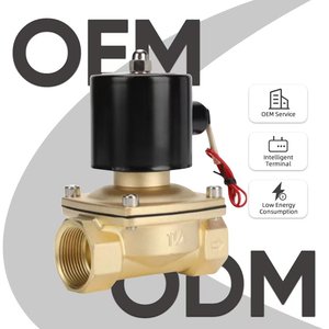 Alahot 0.5W électrovanne à économie d'énergie sans chaleur 2 voies normalement fermées 24V/220V électrovanne automatique pour l'eau - Product Image 2