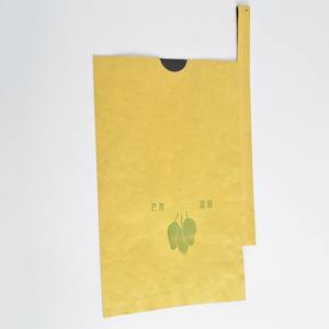 Bolsa <span class=keywords><strong>de</strong></span> Papel Kraft Protectora <span class=keywords><strong>de</strong></span> Doble Capa para <span class=keywords><strong>Mango</strong></span>, Embalaje Desechable para Frutas, Cultivo <span class=keywords><strong>de</strong></span> Vegetales, Semillas, Maíz, Manipulación <span class=keywords><strong>de</strong></span> Superficies Enceradas - Product Image 3