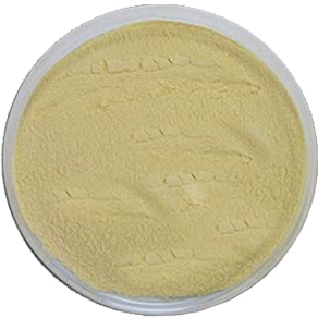 Enzima Proteasa Neutra para la Industria de Levaduras de Alcohol y el Procesamiento de Proteínas Alimentarias - Hidrólisis Eficiente en pH 5.5-8.5 - Product Image 3