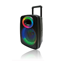 Karaoké extérieur, microphone sans fil 12 pouces, 20W RGB pour système audio Hi-Fi 5.0, double microphone, batterie 3600mAh, télécommande