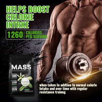 Supplément Sportif OEM pour Augmenter la Masse Musculaire, Nutrition, Suppléments de Gym, Poudre Végétale, Gainer de Masse, Isolat de Protéine Végétale