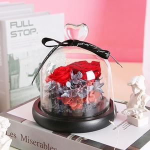 Bellezza secchi fiori freschi conservati cupola di vetro rosa <span class=keywords><strong>regali</strong></span> speciali romantico <span class=keywords><strong>san</strong></span> <span class=keywords><strong>valentino</strong></span> <span class=keywords><strong>regali</strong></span> per sempre fiore immortale - Product Image 3