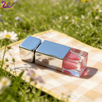 Base de gloss à lèvres brillant avec capuchon chromé argenté, tube carré, marque privée, végétalien, hydratant, longue tenue, huile à lèvres haute brillance, logo personnalisé