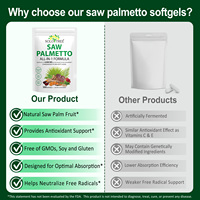 SOLOTREE 300 Gélules Végétaliennes de Palmier Nain pour la Santé de la Prostate et Urinaire – Compléments Naturels de Palmier Nain pour Hommes