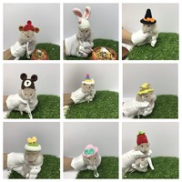 Vente chaude Top Chapeaux pour Petits Animaux Hamsters Rats Serpents Lézards Cochons D'inde Vêtements Costume Accessoires pour Holi