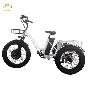 Steed 48V controlador eléctrico ebike 3 ruedas 26 pulgadas motor eléctrico bicicleta