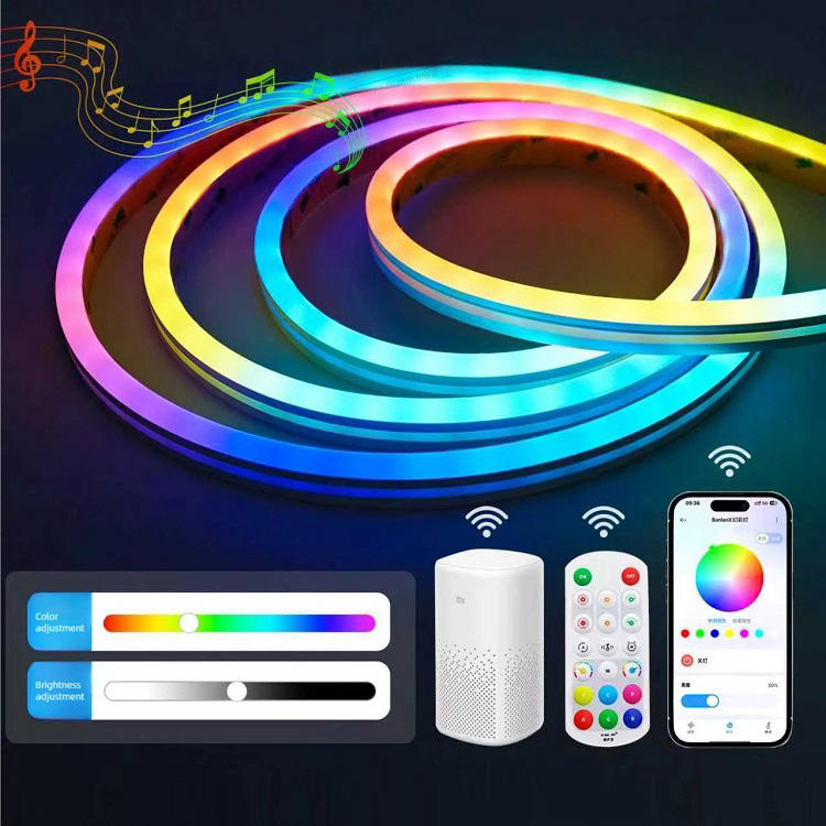 Customizable 24v Smart Led 5m Rgb Neon Flexible Strip Light Decor Colorful Lights with Remote