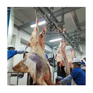 Abattoir Equipment Halal 100 Cattle Per Day Slaughter Line Of Cow Carcass Processing Convey Line For Beef Plant