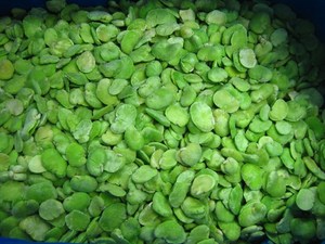 Frijoles <span class=keywords><strong>Feva</strong></span> Sinocharm de buena calidad Frijoles pelados frescos congelados - Product Image 3