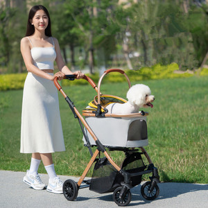 Poussette de luxe pour animaux de compagnie, 4 roues, pour l'extérieur, détachable, pas cher, pour petits chiens - Product Image 1