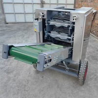 Automatische kokosnootschilmachine, commerciële kokosnootschilvezelverwijderaar voor de verwerking van volwassen kokosnoten