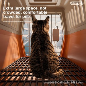 Transportín Rectangular de Plástico Portátil para Mascotas (Gatos y Perros), Aprobado por Aerolíneas, Apto para Coche, Caja de Transporte de Color Sólido - Venta al por Mayor - Product Image 1