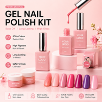 Vernis à ongles en gel personnalisé avec étiquette privée 12 ml, ensemble de vernis à ongles en gel UV OEM avec logo, fournisseur d'emballages de bouteilles