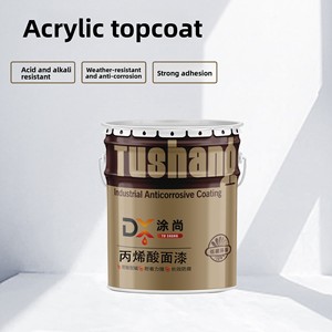 Revestimiento Líquido Acrílico en Aerosol de Alta Adhesión Marca TUSH, Capa Final para Superficies Metálicas, Uso en Construcción - Product Image 2