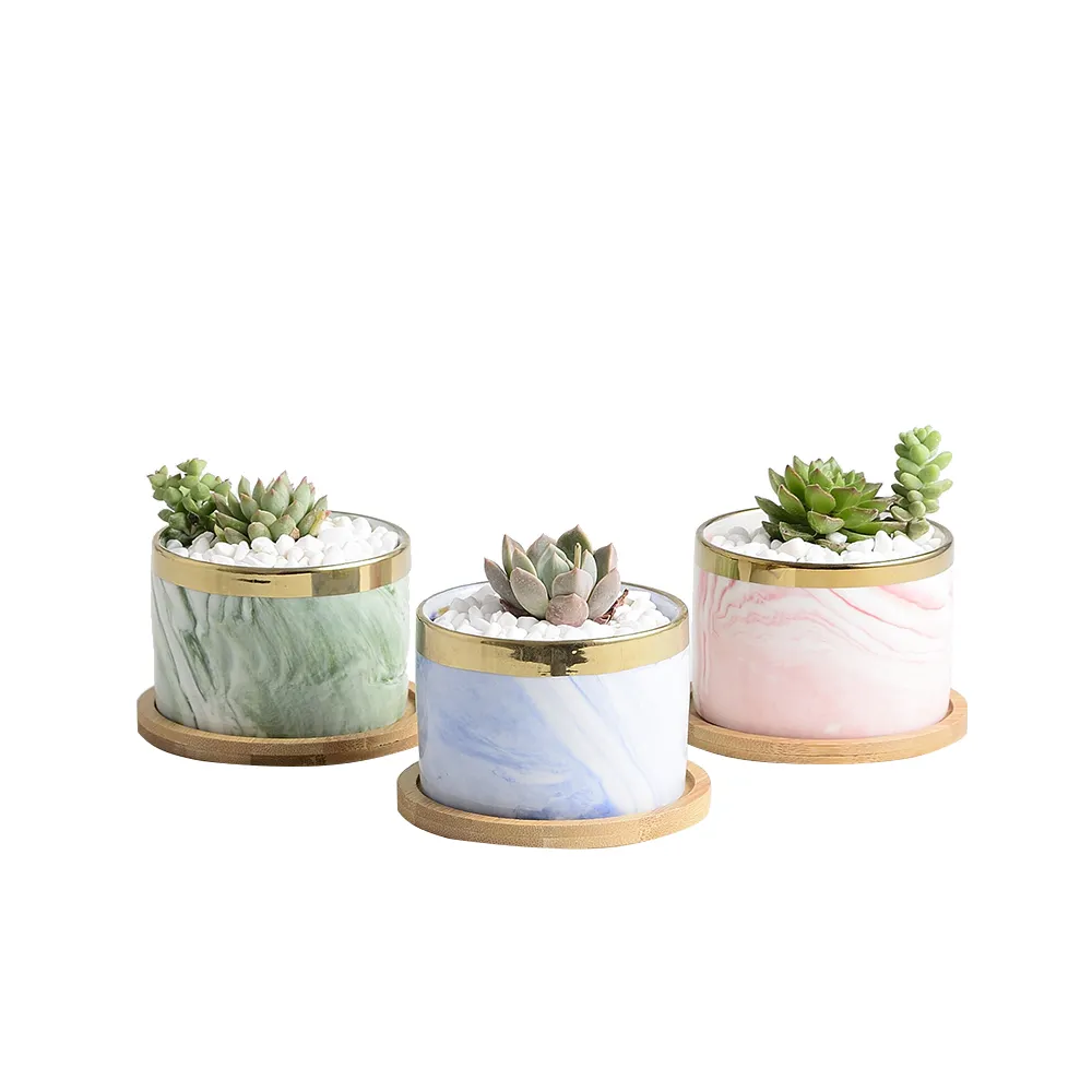 Macetas suculentas de cerámica de mármol con diseño de cilindro, para plantas, con bandeja de bambú, venta al por mayor