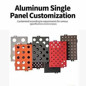 Revêtement en alliage d'aluminium ignifuge avec design perforé personnalisé, façade extérieure résistante aux intempéries pour hôtels, hôpitaux et <span class=keywords><strong>architecture</strong></span> - Product Image 5