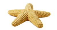 Jouet pour chien en peluche personnalisé avec des fruits d'été et des animaux marins - Jouet interactif pour animaux de compagnie pour chiens, sûr et amusant pour le jeu