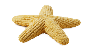 Juguete de perro chirriante de felpa personalizado de frutas de verano y animales del océano-Juguete interactivo para mascotas para perros, seguro y divertido para jugar - Product Image 5