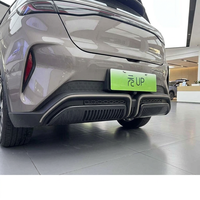 Grille inférieure anti-insectes ABS pour BYD Yuan UP 2024, ensemble de 5 pièces, garniture de grille arrière anti-insectes