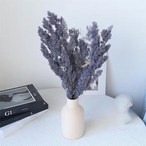 Mousse de renne stabilisée, lichen floral pour artisanat DIY, arrangement floral, <span class=keywords><strong>plante</strong></span> verte naturelle de 60-70 cm pour la décoration intérieure - Product Image 2