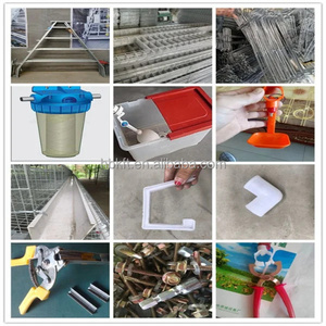 A Tipi 5000 Kuş Otomatik Sulama Sistemi Galvanizli Tavuk Yumurtlama Kafesi (Asya Kümes Hayvanları Çiftliği Ekipmanları) - Product Image 4
