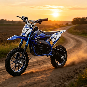 EU Mini Dirt <b>Bike</b> 24V Streetbikes Motorcycle Steel Frame All-Terrain Tires 25km/h Speed 500W Power for <b>Kid</b> - Product Image 5
