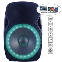 Altavoz Karaoke Profesional de 15 Pulgadas y 1000 W con Alimentación por Audio, TWS, Iluminación LED para Fiestas, Soporte, Micrófono, Batería y Micrófono Inalámbrico, Bocina Parlante