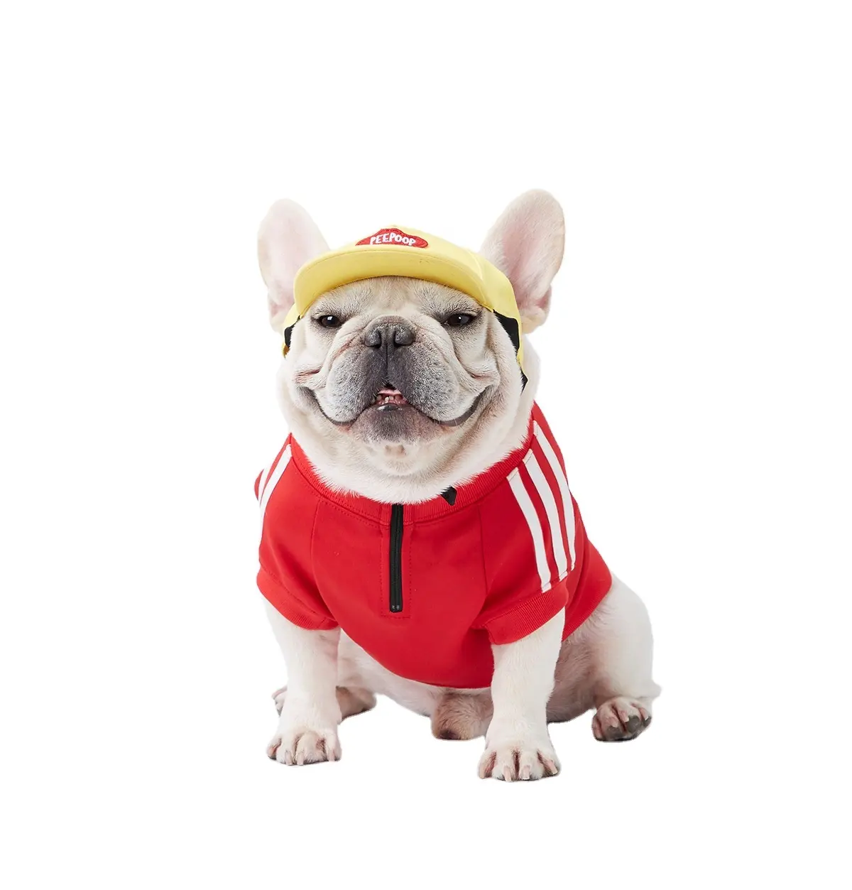 Wholesale Spring&summer Dog Sports Shirt Hoodie for Corgi Schnauzer French Bulldog Dog Clothes Pet Short Sleeved Casual T-shirts