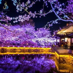 La Artesanía de las Linternas del Patrimonio Cultural Inmaterial Crea Hermosas Vistas Nocturnas de Jardines Orientales - Product Image 1