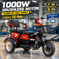 Vélo électrique à 3 roues, moteur sans balais 1000W, batterie au plomb-acide 48V 20Ah, autonomie de 60 km, tricycle de mobilité pour personnes âgées et adultes