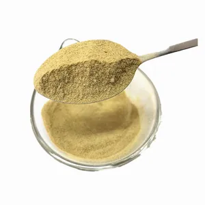 Сушеный порошок зеленого чили (грин чили) из сушеных овощей - Product Image 1