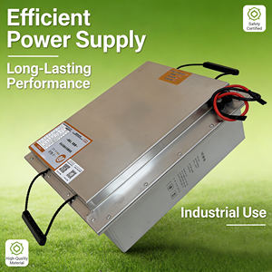 بطارية ليثيوم فوسفات الحديد 60 فولت 45 أمبير ساعة للمركبات الكهربائية ذات العجلتين/الثلاث عجلات، مع نظام إدارة البطارية الذكي، قابلة للتخصيص وتوريد مباشر من المصنع - Product Image 1