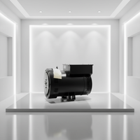 Alternateur AC sans balais série TAL 100 kW, triphasé, enroulement 100 % cuivre avec AVR, 50 Hz 60 Hz, tension personnalisée