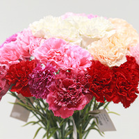 YC Shandong – Bouquet de fleurs artificielles de qualité supérieure, toucher réel, hydratant, idéal pour la Fête des Mères et les mariages – Vente en gros