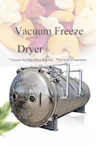 Lyophilisateur Machine 100 Kg Lyophilisateur Machine Lyophilisateur Grande Machine - Product Image 4