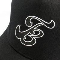 Gorras de béisbol de moda de Venta caliente gorra de camionero de malla bordada personalizada gorra de malla negra gorra de camionero de 5 paneles