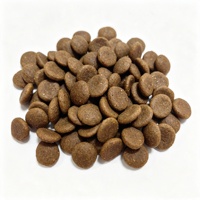 Nourriture sèche pour chats riche en protéines, sans céréales, OEM, étiquette privée, vente en gros, croquettes pour chats en vrac, directement de l'usine, emballage personnalisé