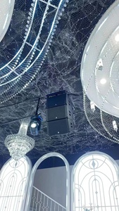 Sandy Audio Single 12 pulgadas Line Array LE12 Altavoces pasivos Line Array Sistema de audio Sonido Equipo de sonido de audio profesional - Product Image 3