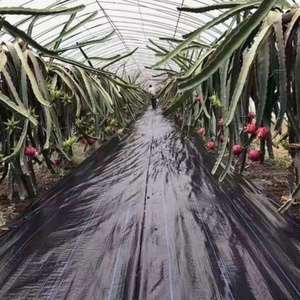 6x300ft 90g noir <span class=keywords><strong>jardin</strong></span> barrière contre les mauvaises herbes tissu PP couvre-sol agricole en plastique <span class=keywords><strong>Anti</strong></span> <span class=keywords><strong>herbe</strong></span> tapis de couverture du sol - Product Image 6