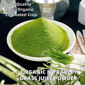 Polvo de Jugo de Cebada India al por Mayor, Grado Cosmético/Alimenticio, Disponible en Botella/Tambor/Envase de Plástico - Product Image 2