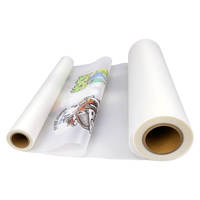 Jual Langsung Pabrik Cold Peel 30cm 60CM Matte PET Heat Transfer Release Film 75/100UM Printing PET DTFfilm untuk Printer DTF