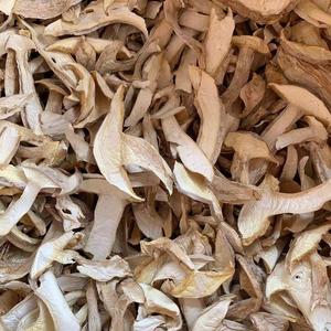 Tricholoma <span class=keywords><strong>Matsutake</strong></span> séché de qualité naturelle, très demandé, pour la cuisine - Product Image 1