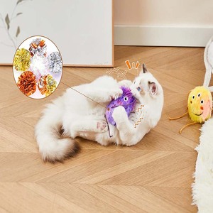 ของเล่นแมวของเล่นแบบโต้ตอบสำหรับแมวในบ้านของเล่นแมวที่ทนต่อการ<span class=keywords><strong>กัด</strong></span>5แพ็ค - Product Image 4