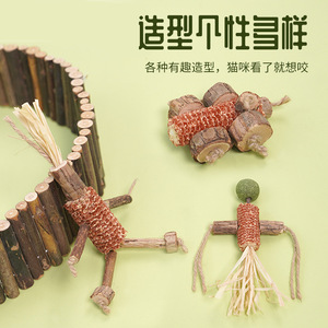 Boules de catnip, sucettes, friandises pour chat à lécher, pour le nettoyage des dents, à mâcher, jouets pour chat, jouets d'entretenissement et de relaxation pour animaux de compagnie. - Product Image 1