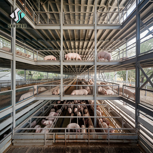 Equipo <span class=keywords><strong>de</strong></span> Porcicultura Rentable para Cría a Gran Escala, Jaula <span class=keywords><strong>de</strong></span> Gestación para Granjas Porcinas, Casa <span class=keywords><strong>de</strong></span> <span class=keywords><strong>Cerdos</strong></span> para Granjas Familiares - Product Image 5