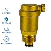 Système de valve d'évacuation d'air de type économique pour gain de place, avec corps en laiton et adaptateur de tuyau