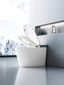 Роскошный современный цельный керамический унитаз с умным биде - Product Image 3