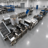 Machine voor diepvriesgroenten, verse diepvries frites, fritessticks, productielijn voor het frituren van frites en chips