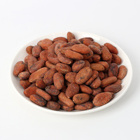 Grano de cacao tostado de Ecuador CBR01